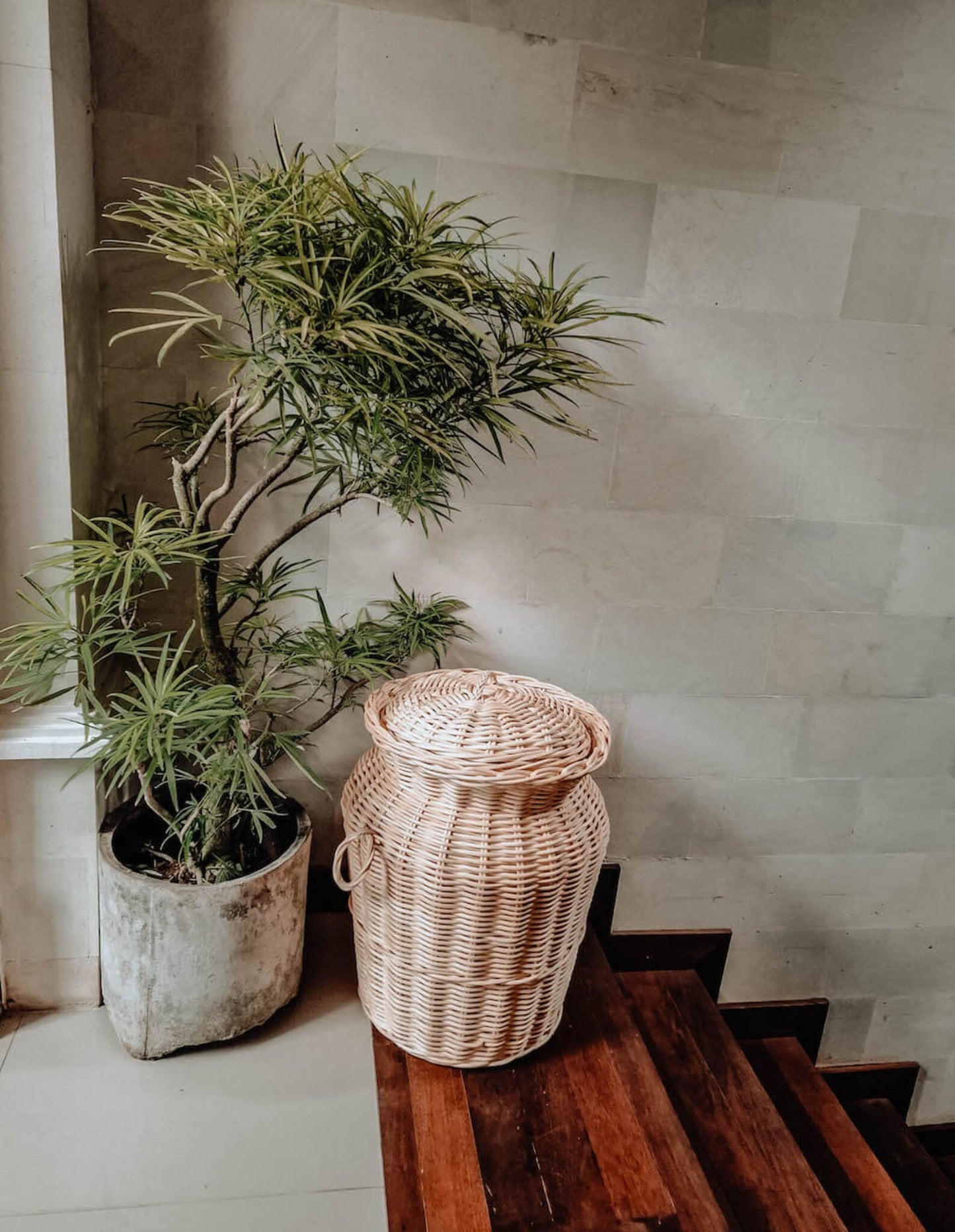 Ace Natural Bamboo Rattan Laundry Basket.