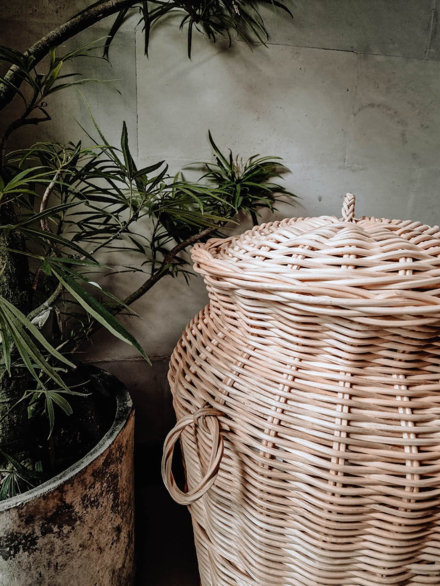 Ace Natural Bamboo Rattan Laundry Basket.