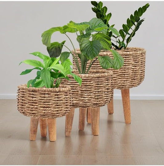 Sea grass Planter Set of Three.