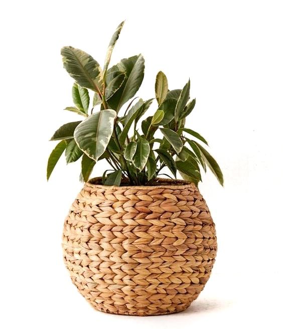 Planter
